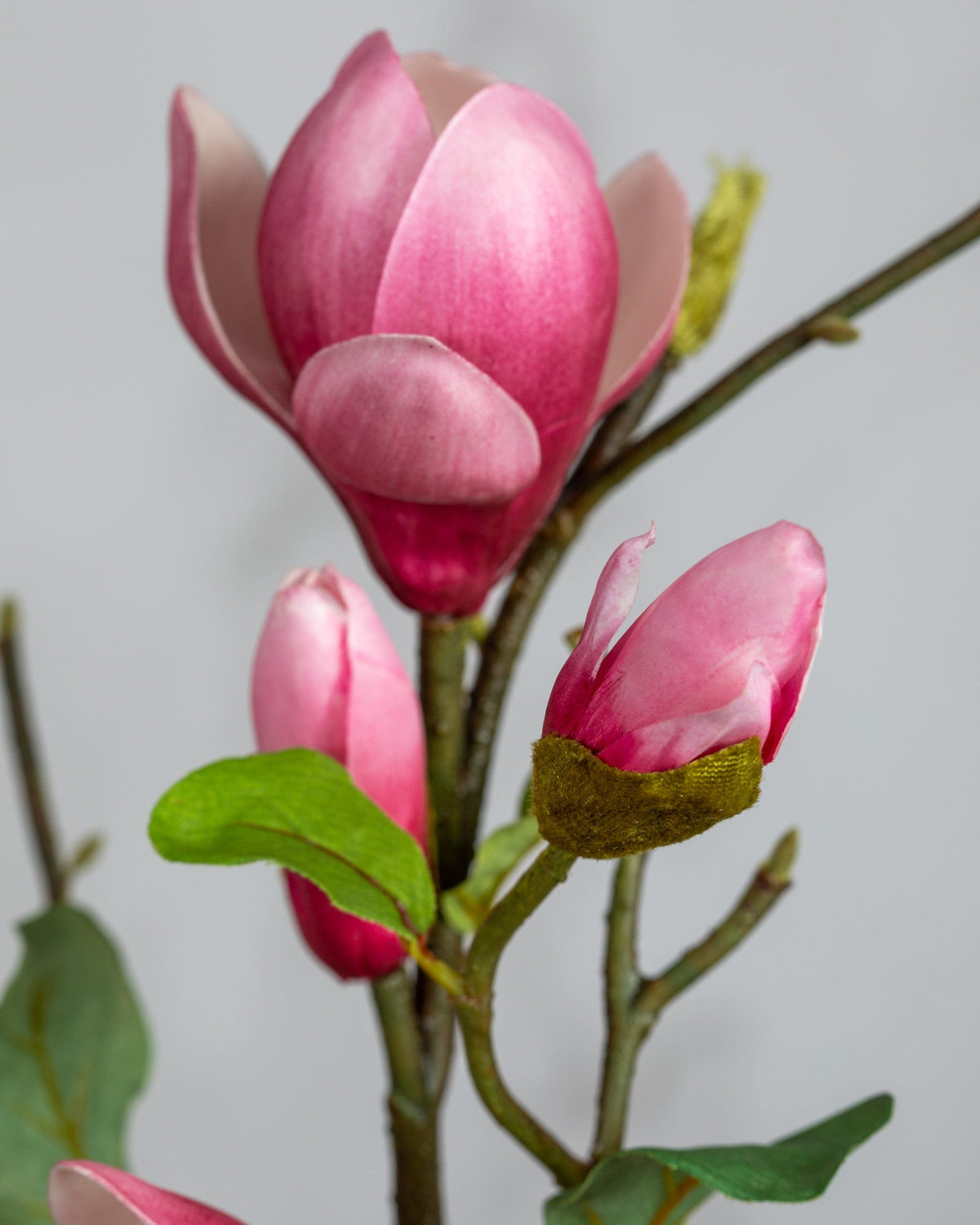 Prestige Botanicals Artificial Fuschia Magnolia Tulip close ups