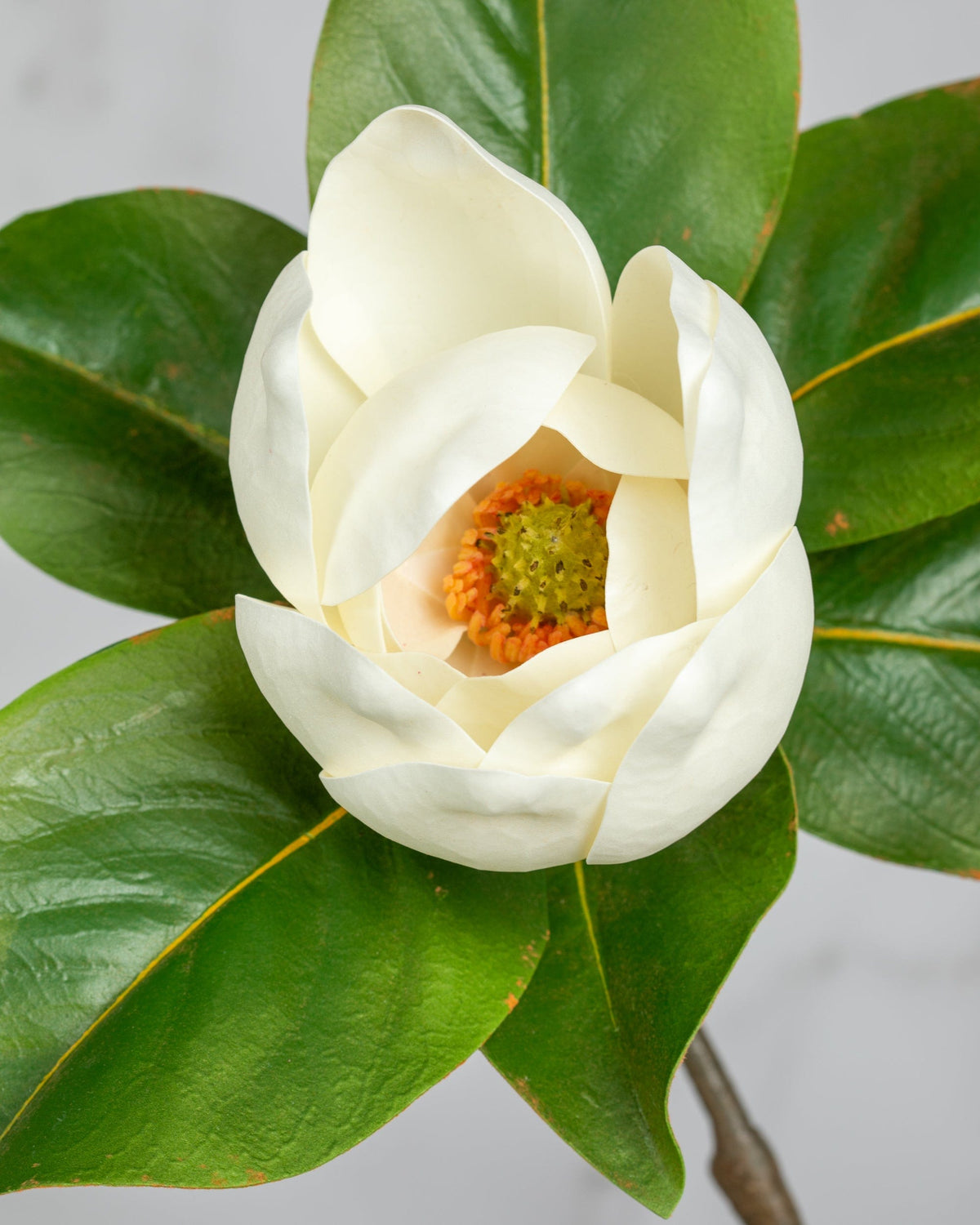 Prestige Botanicals Artificial White Magnolia cup close up