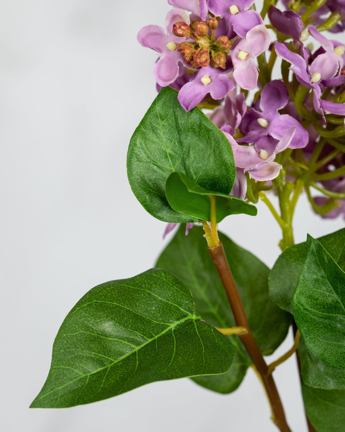 Prestige Botanicals Artificial Mauve Lilac leaf close up