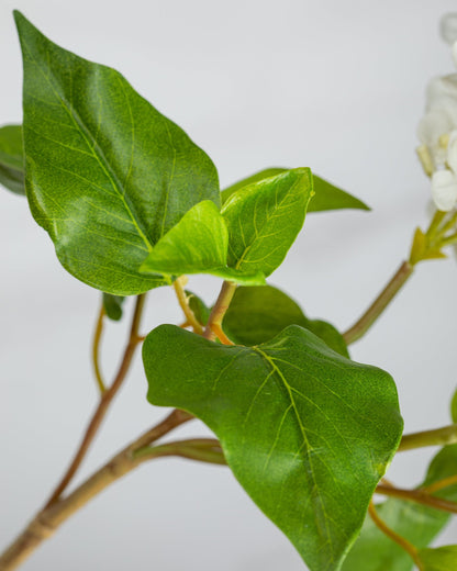 Prestige Botanicals Small Artificial White Lilac leaf close up