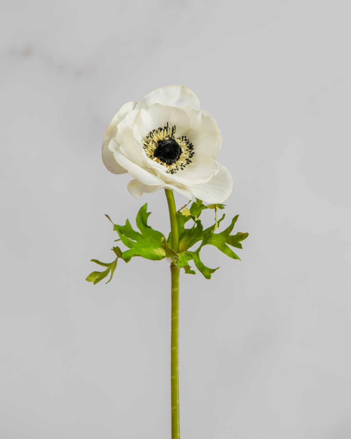Prestige Botanicals Artificial White Anemone Flower stem