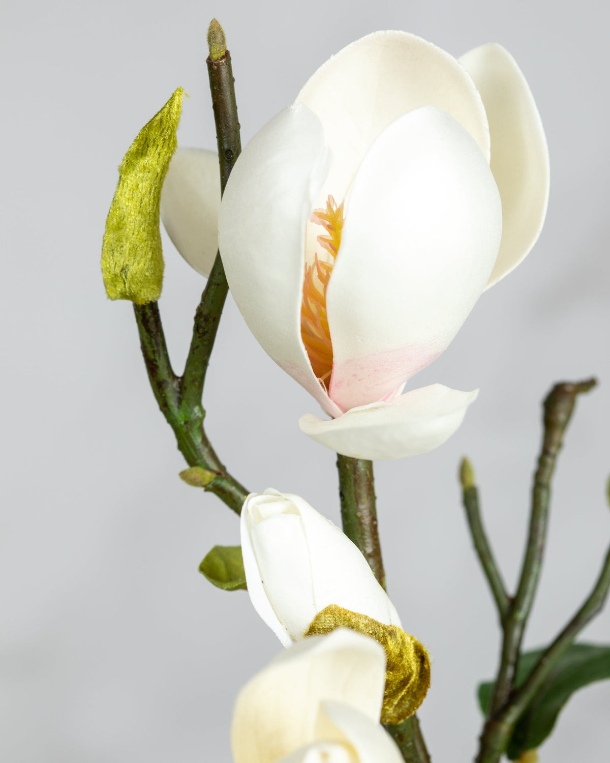 Prestige Botanicals Artificial White Magnolia tulip Branch close up