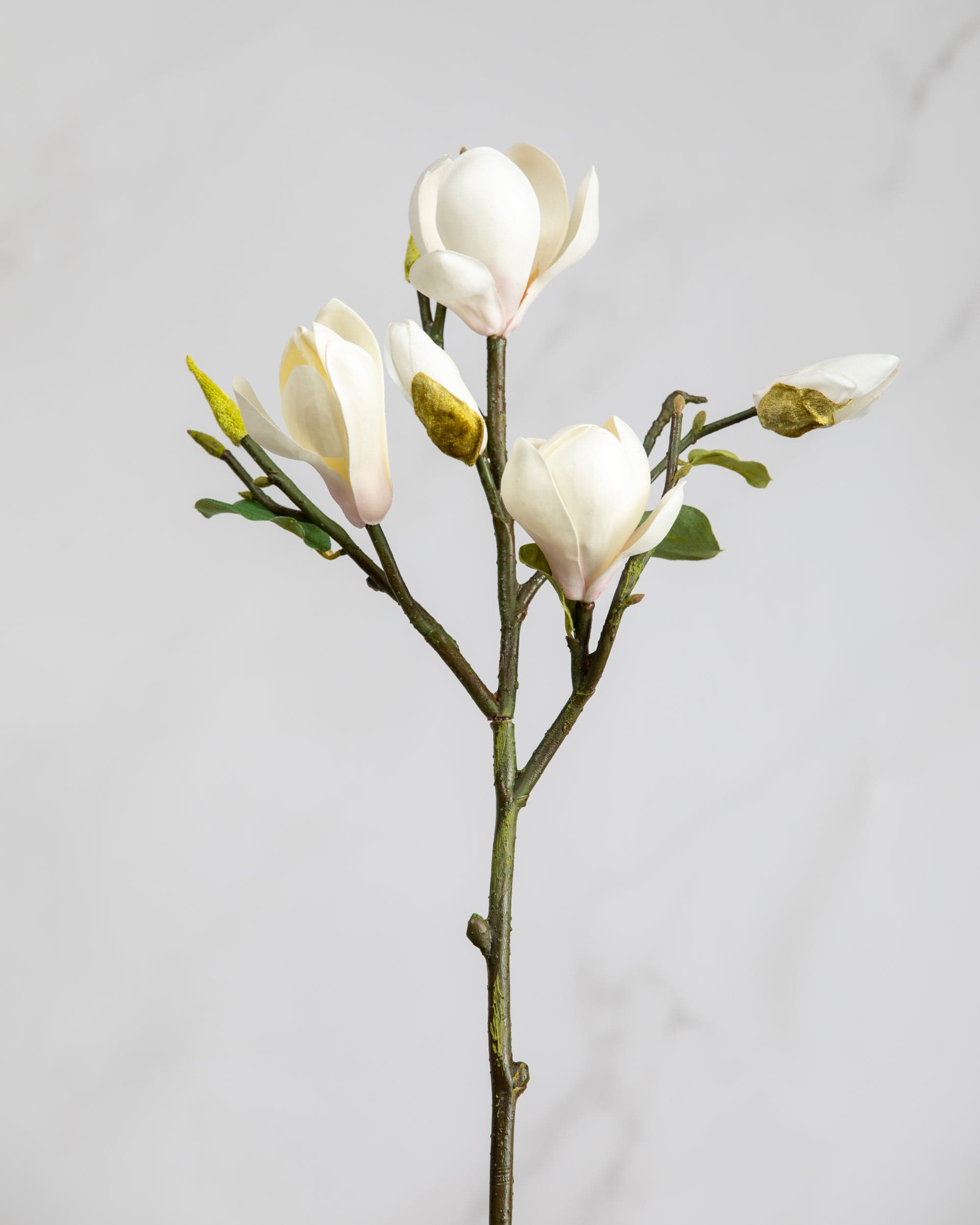 Prestige Botanicals Artificial White Magnolia tulip Branch