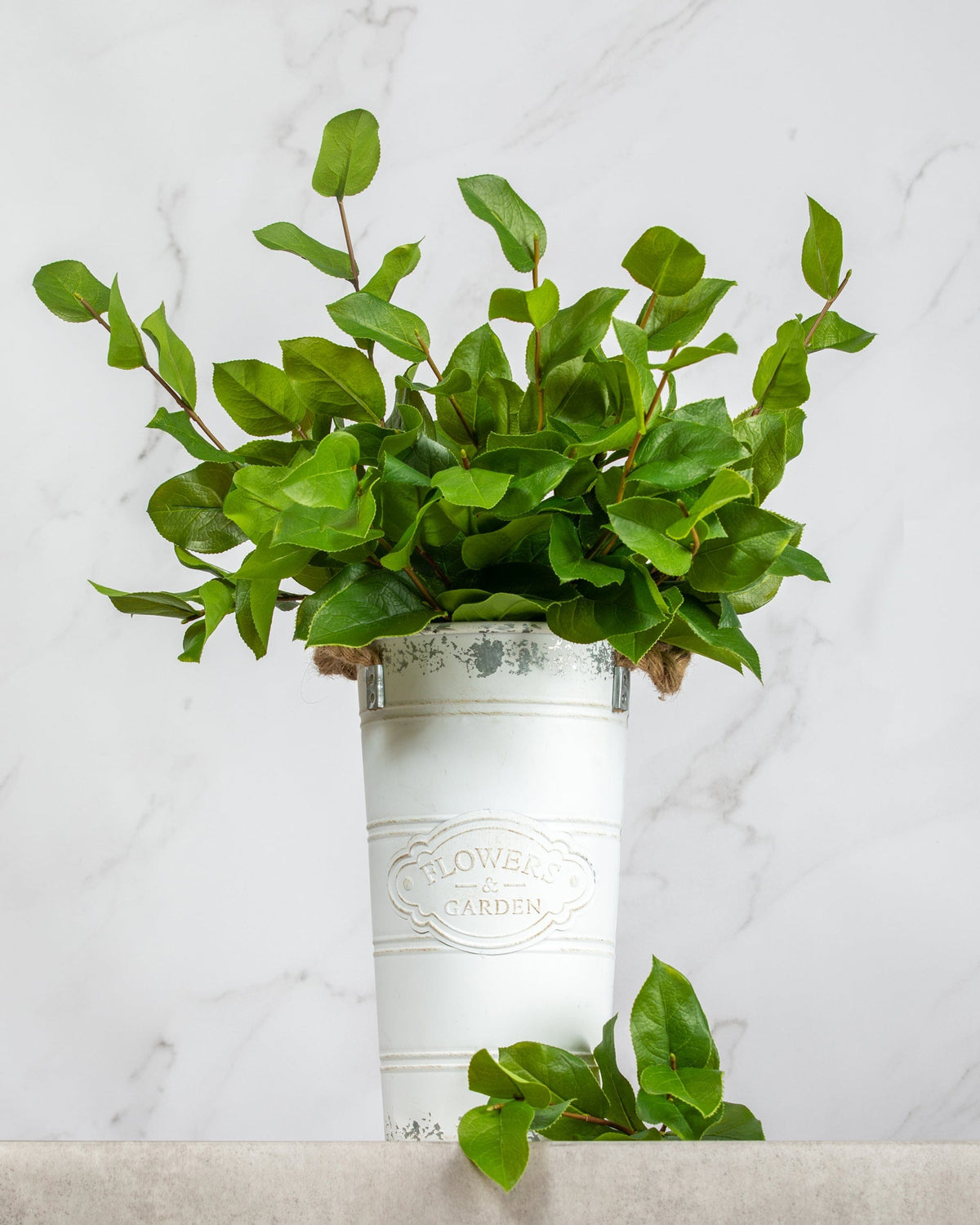 Prestige Botanicals Artificial Salal foliage greenery stems in a white tin vase