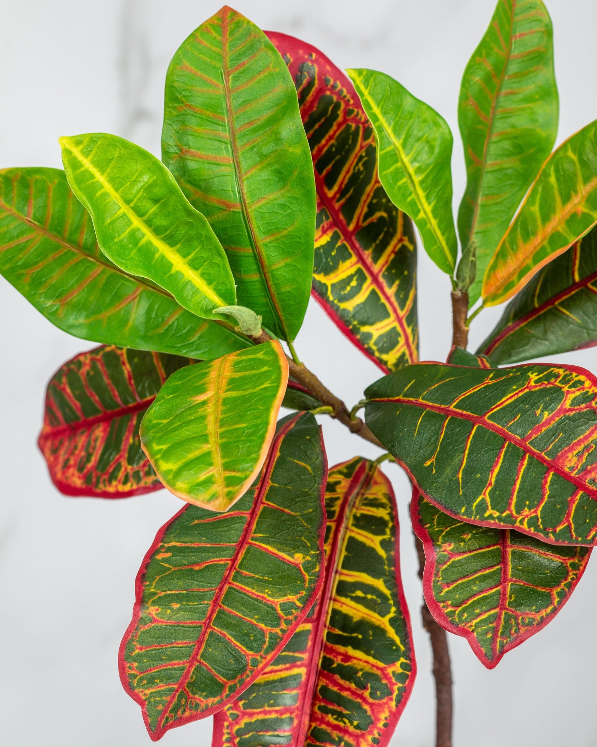 Prestige Botanicals Artificial Croton Foliage close up