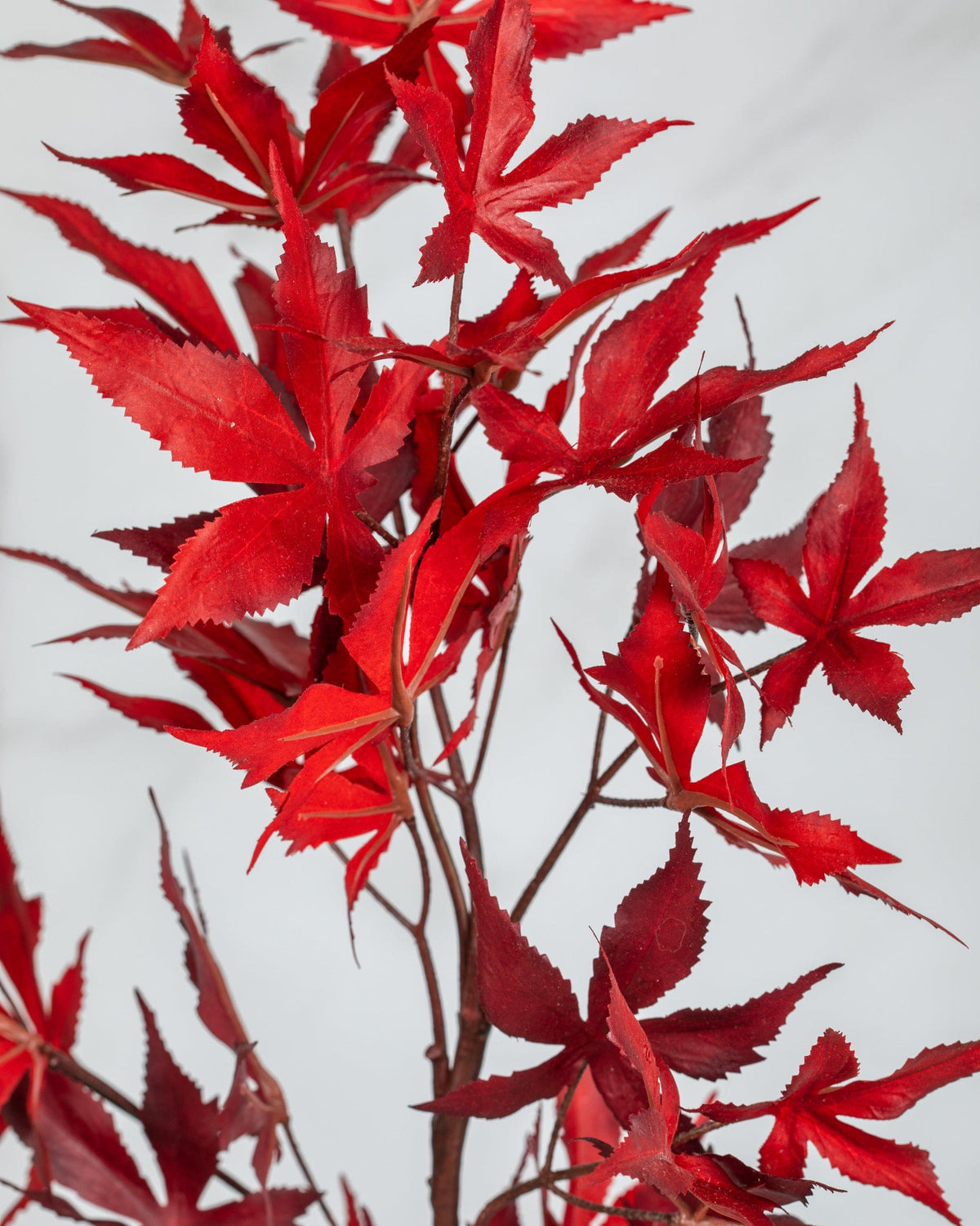 Prestige Botanicals Artificial Red Maple Leaf Close up