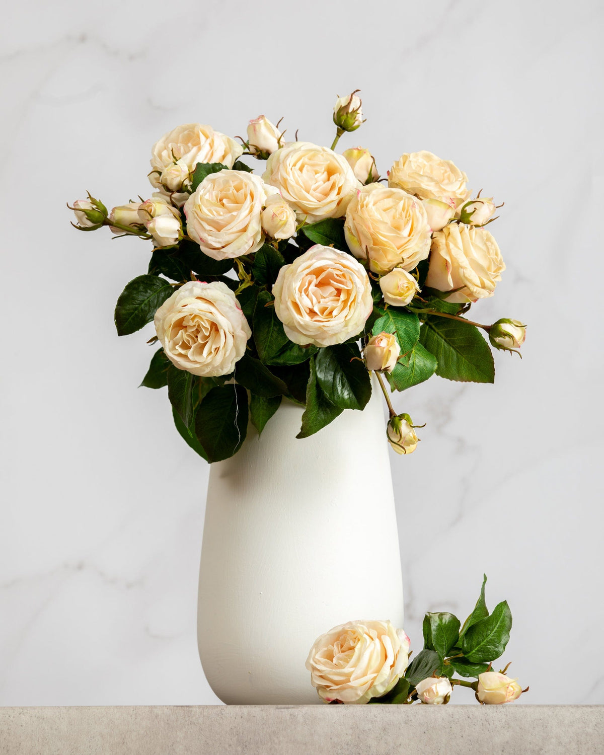 Prestige Botanicals Artificial Light Pink Ecuadorian Roses in a white vase