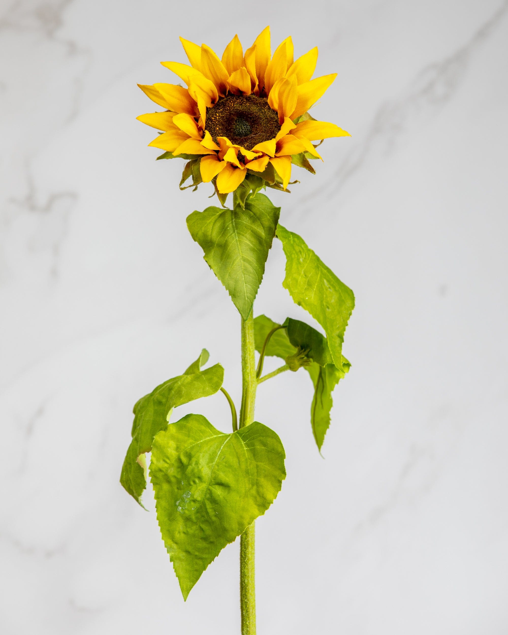 Prestige Botanicals Artificial Sunflower Stem