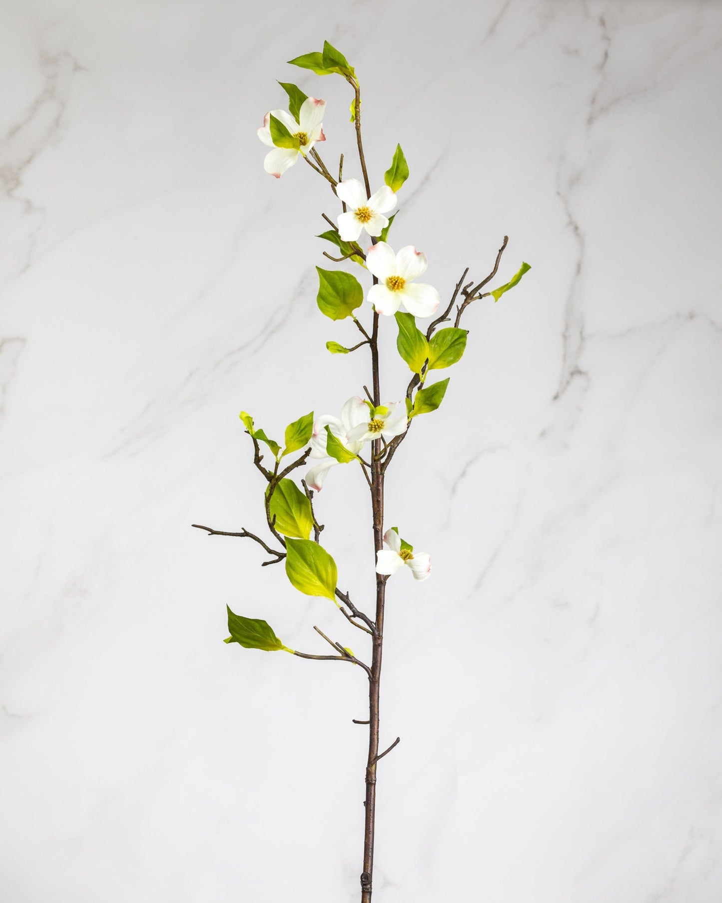 Prestige Botanicals Artificial Dogwood stem