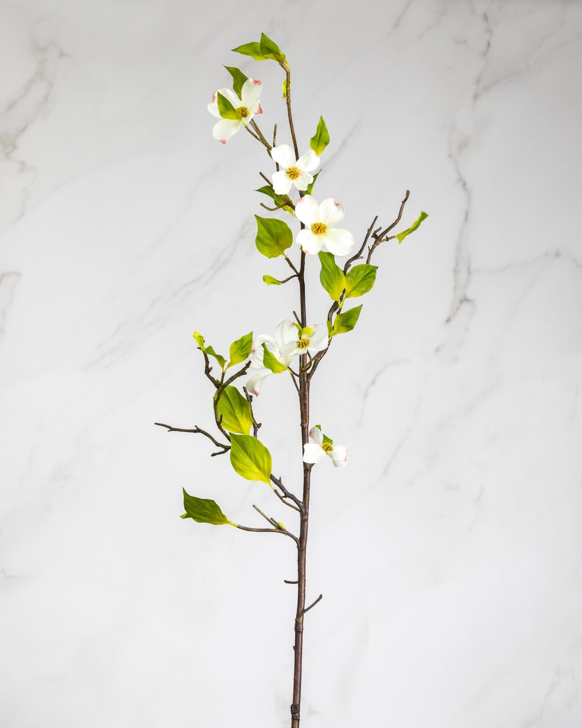 Prestige Botanicals Artificial Dogwood stem