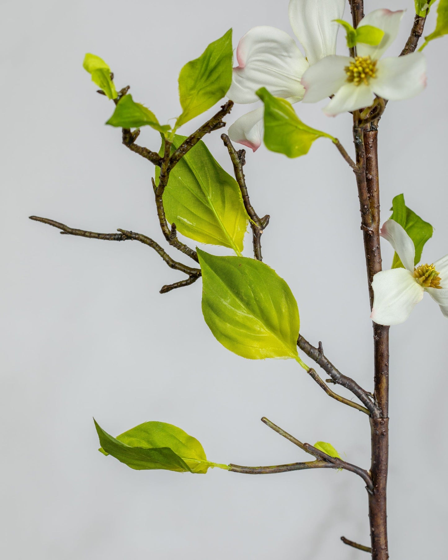 Prestige Botanicals Artificial Dogwood leaf close up