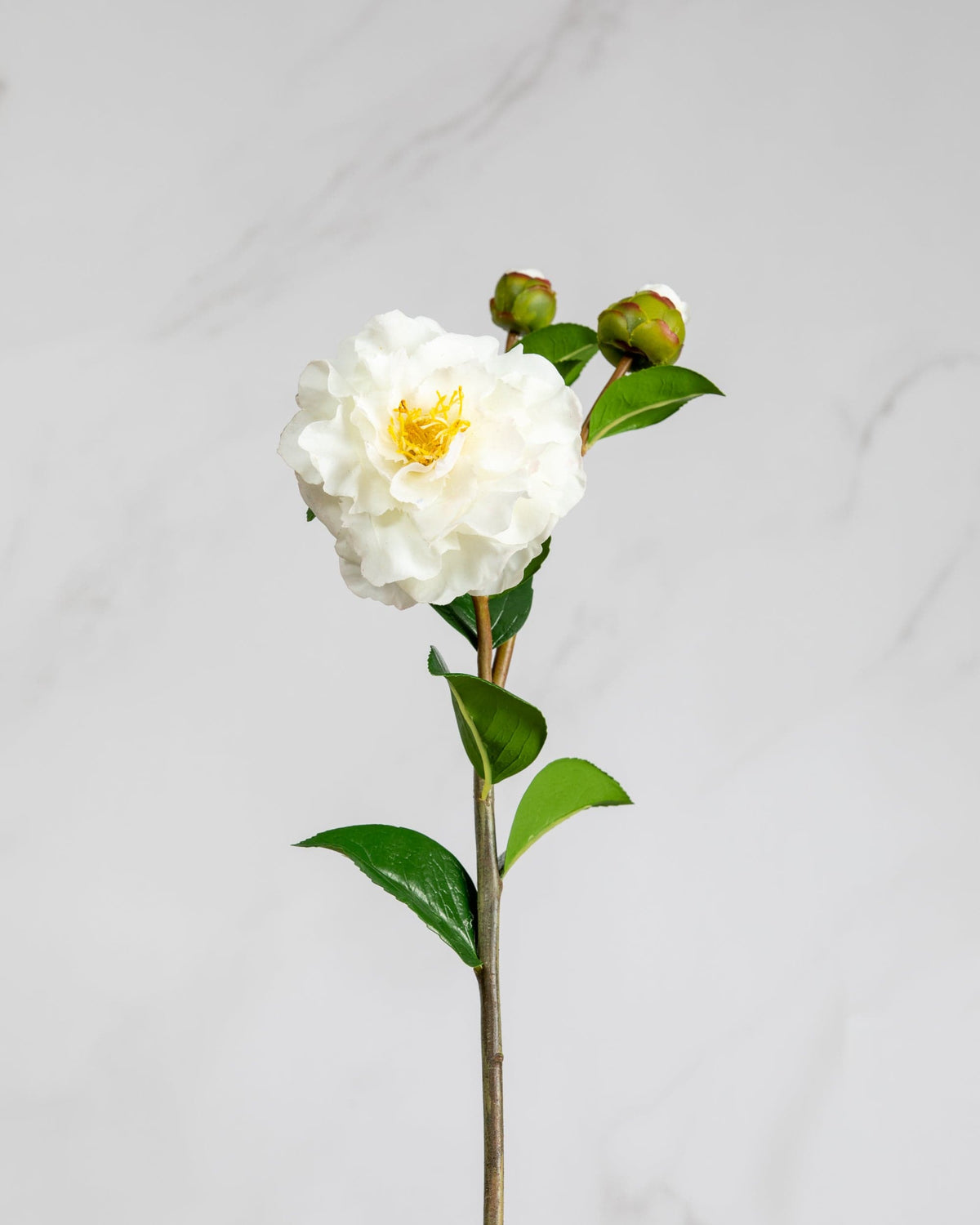 Prestige Botanicals Artificial White Camellia