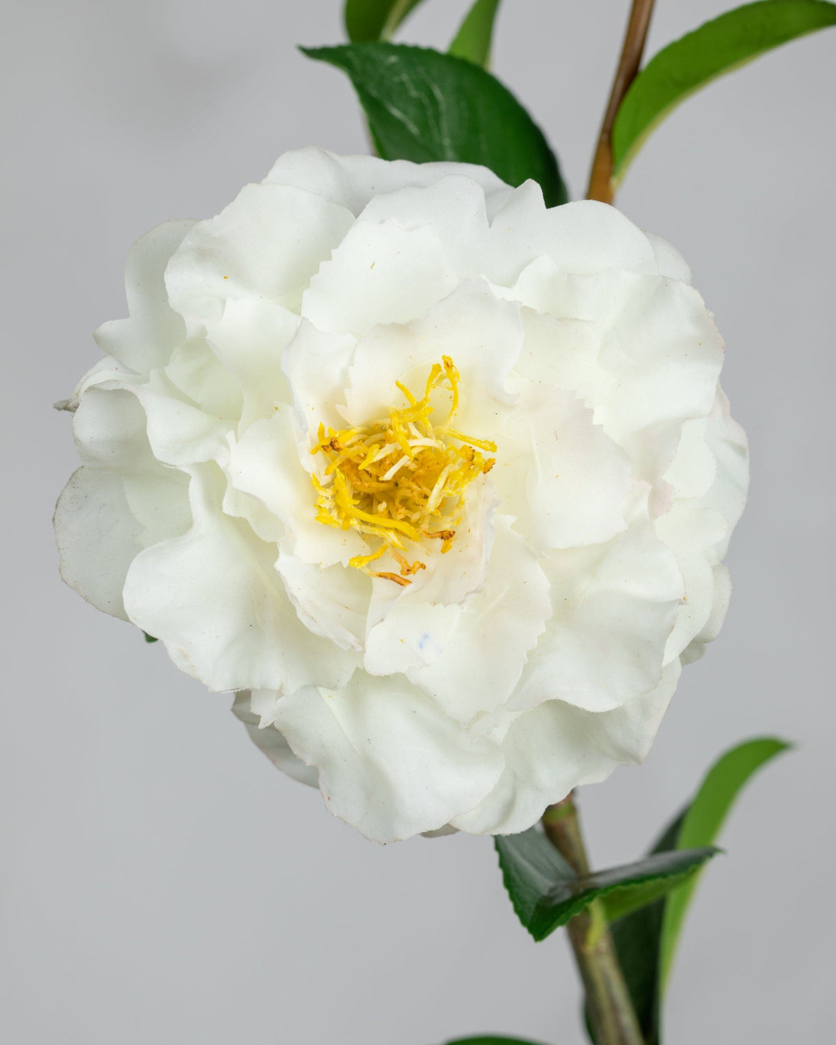 Prestige Botanicals Artificial White Camellia close up
