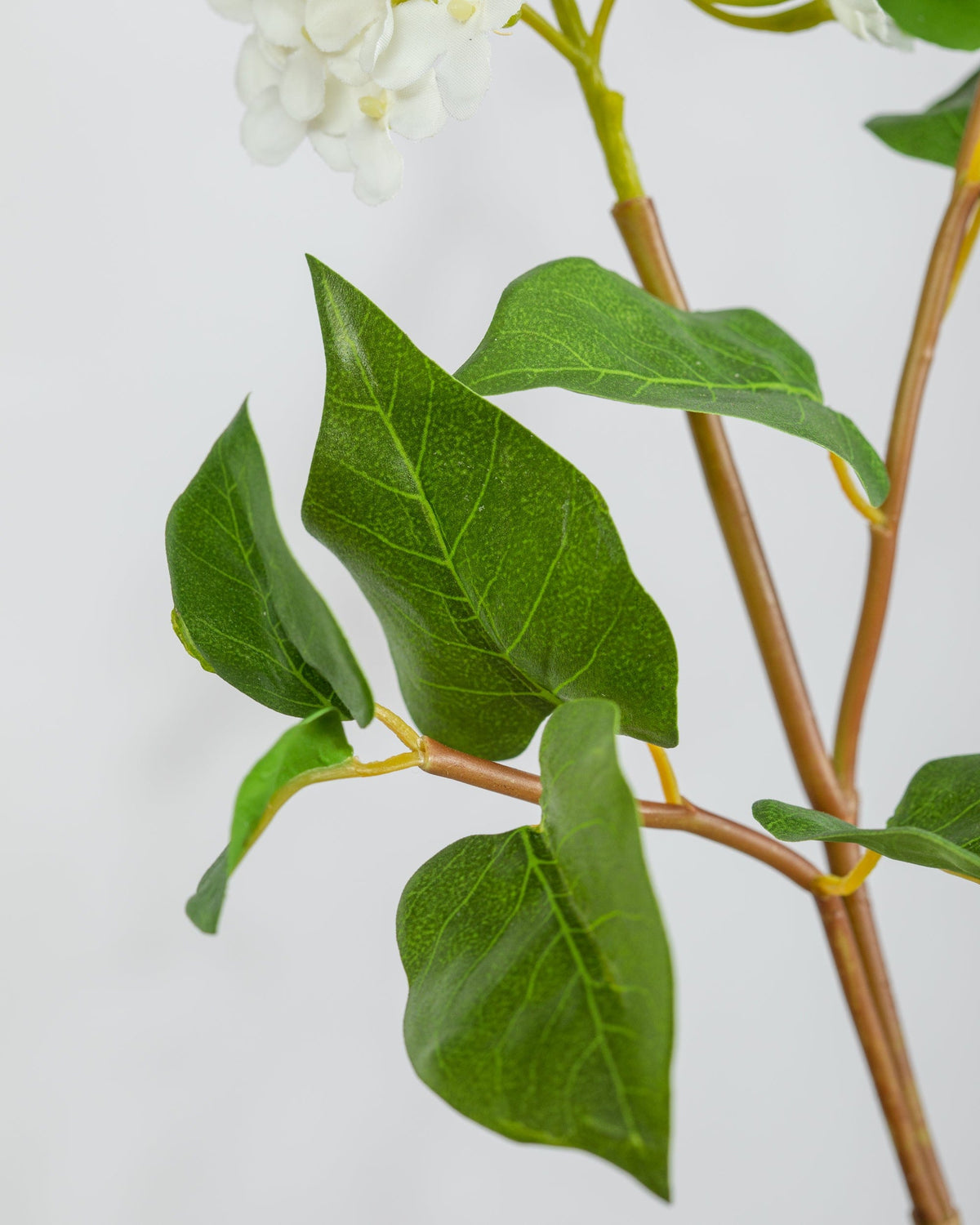 Prestige Botanicals Small Artificial White Lilac leaf close up
