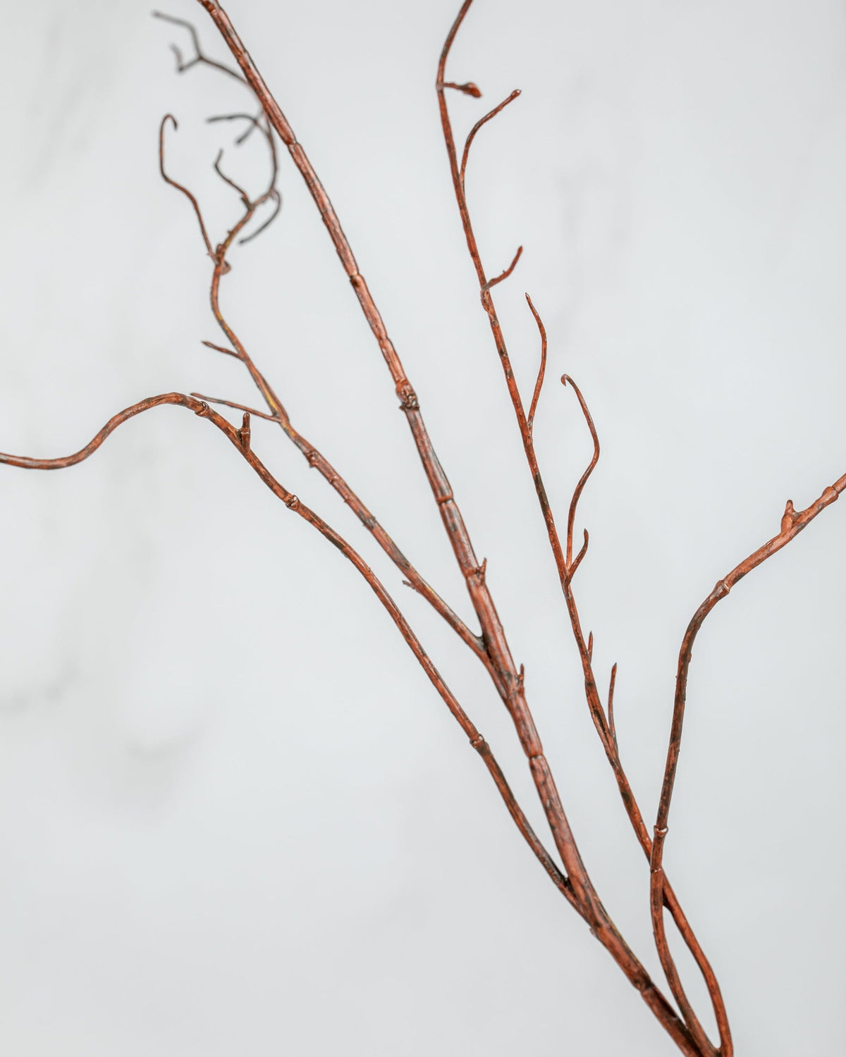 Prestige Botanicals Artificial twisted willow branch close up