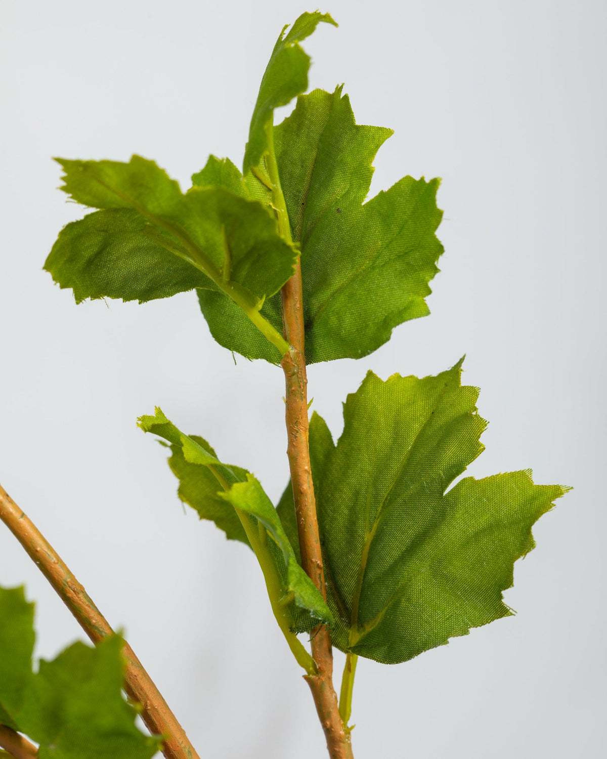 Prestige Botanicals Artificial Green Hops leaf close up