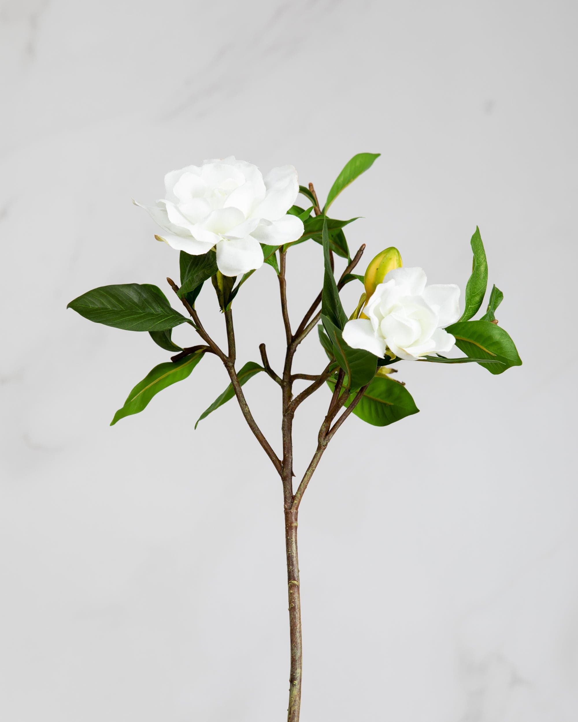 Prestige Botanicals Artificial White Gardenia stem