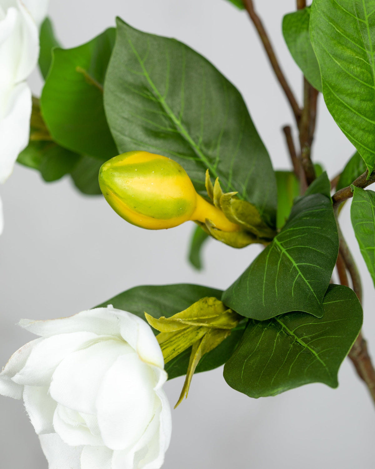 Prestige Botanicals Artificial White Gardenia close up