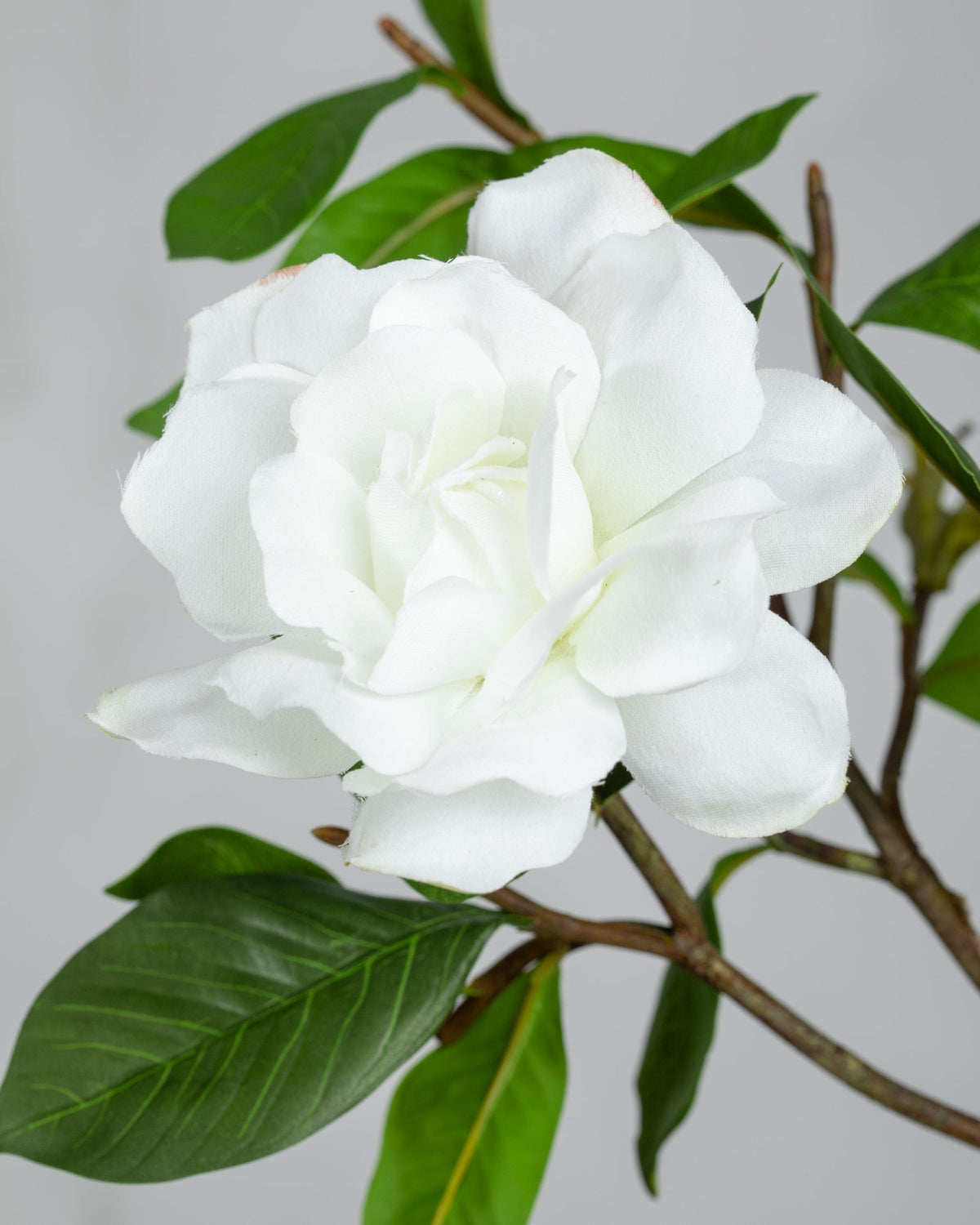 Prestige Botanicals Artificial White Gardenia close up