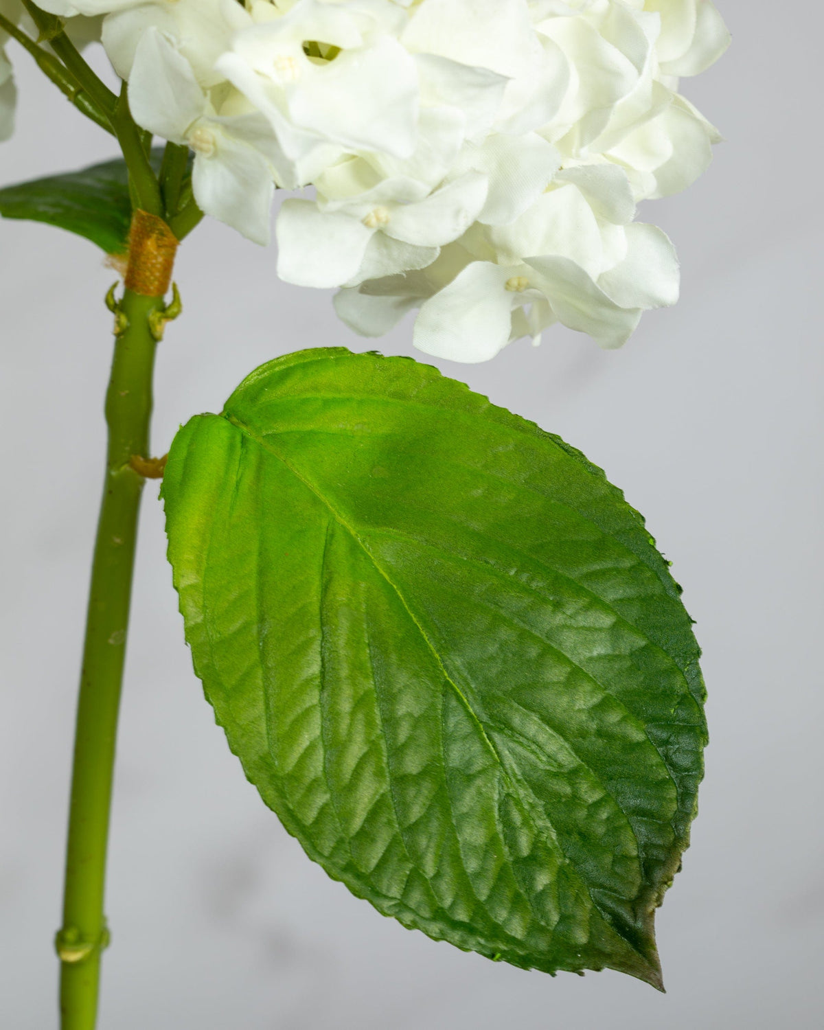 Prestige Botanicals Artificial White Hydrangea leaf close up