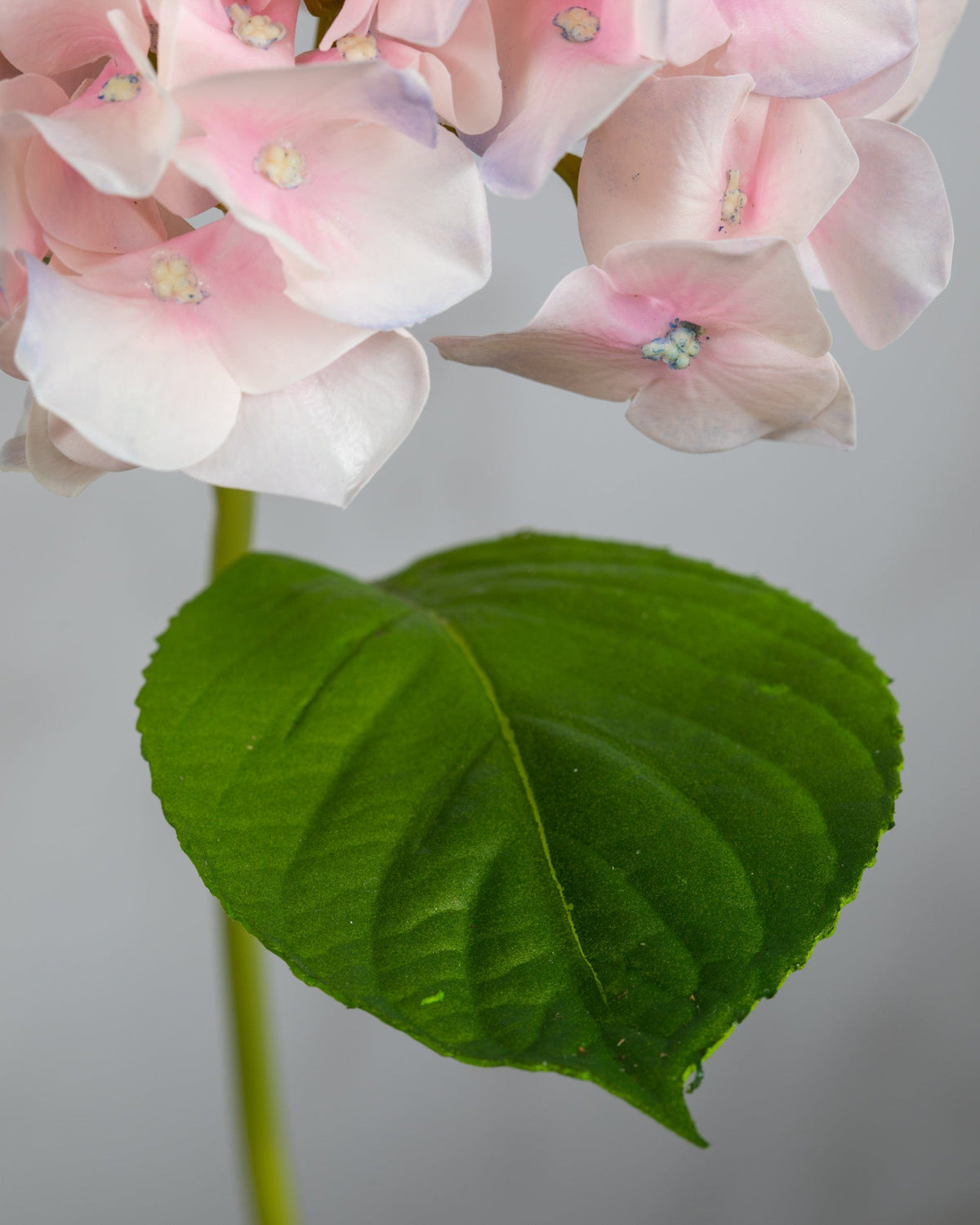 Prestige Botanicals Artificial Small Pink Hydrangea leaf close up