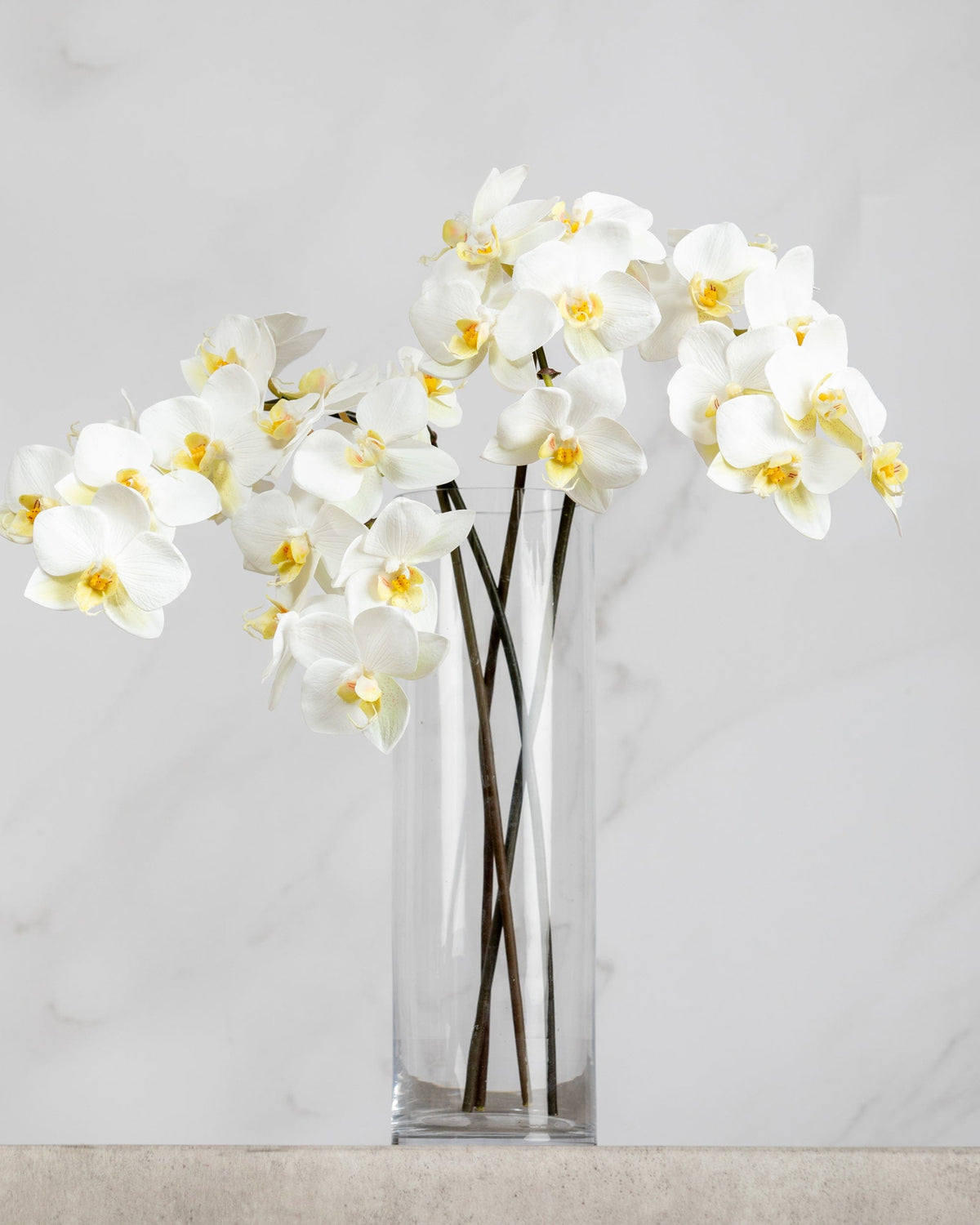 Prestige Botanicals Artificial White Orchid Phalaenopsis Stems in a tall glass vase