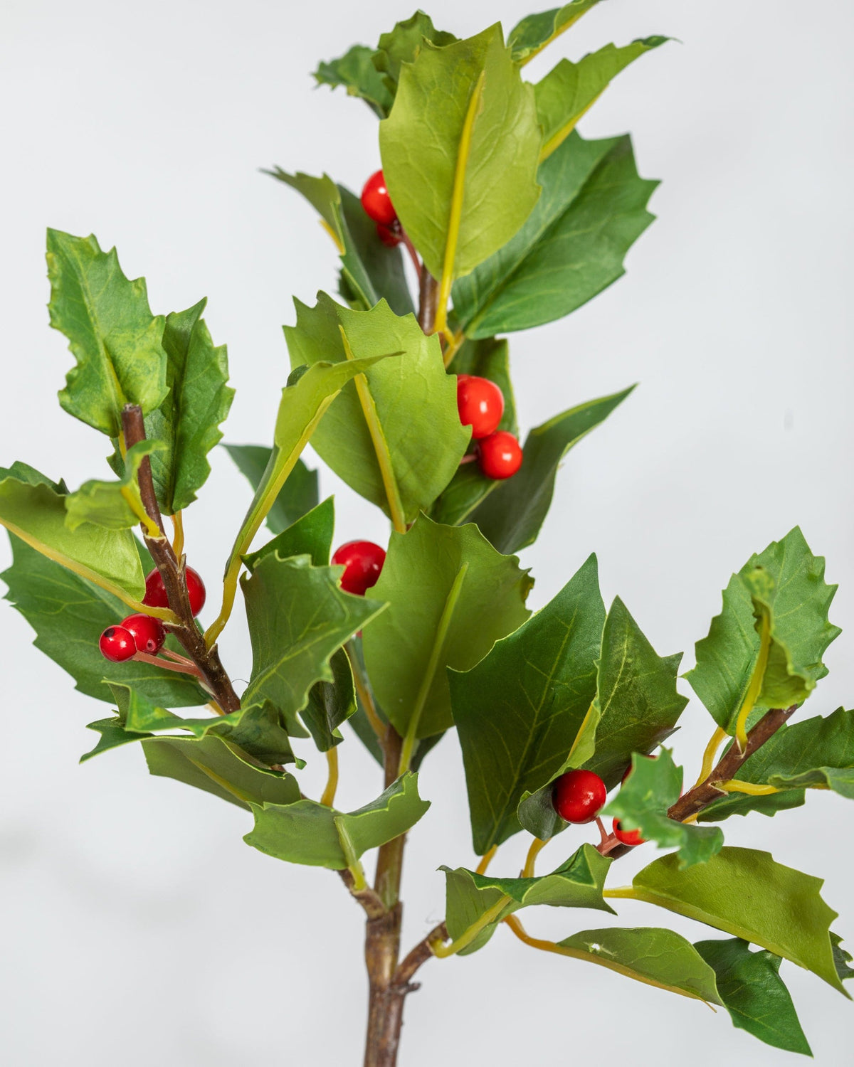 Prestige Botanicals Artificial Red Holly stem close up