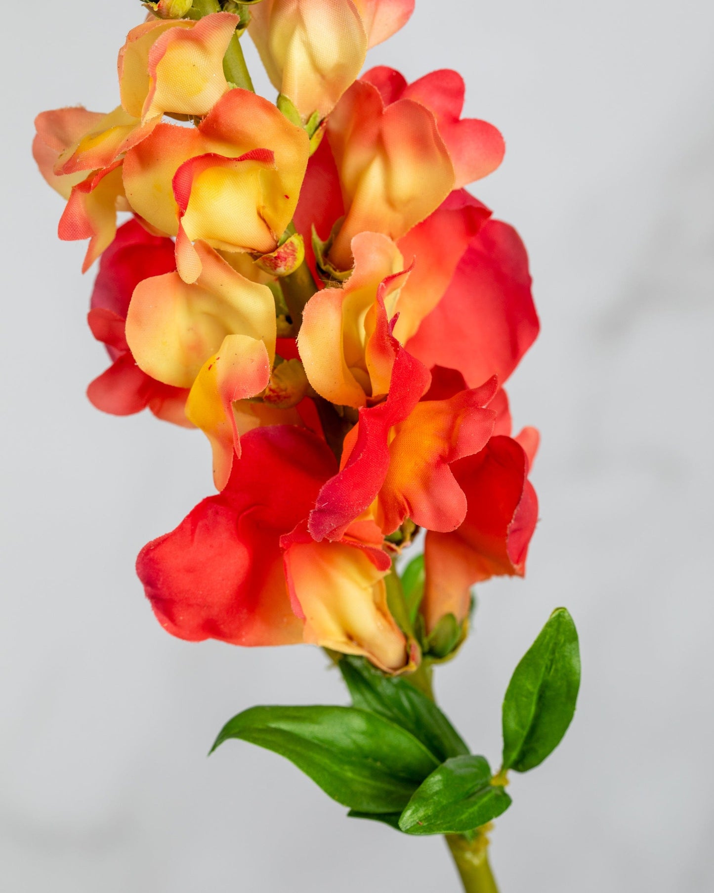 Prestige Botanicals Artificial Orange Snapdragon close up