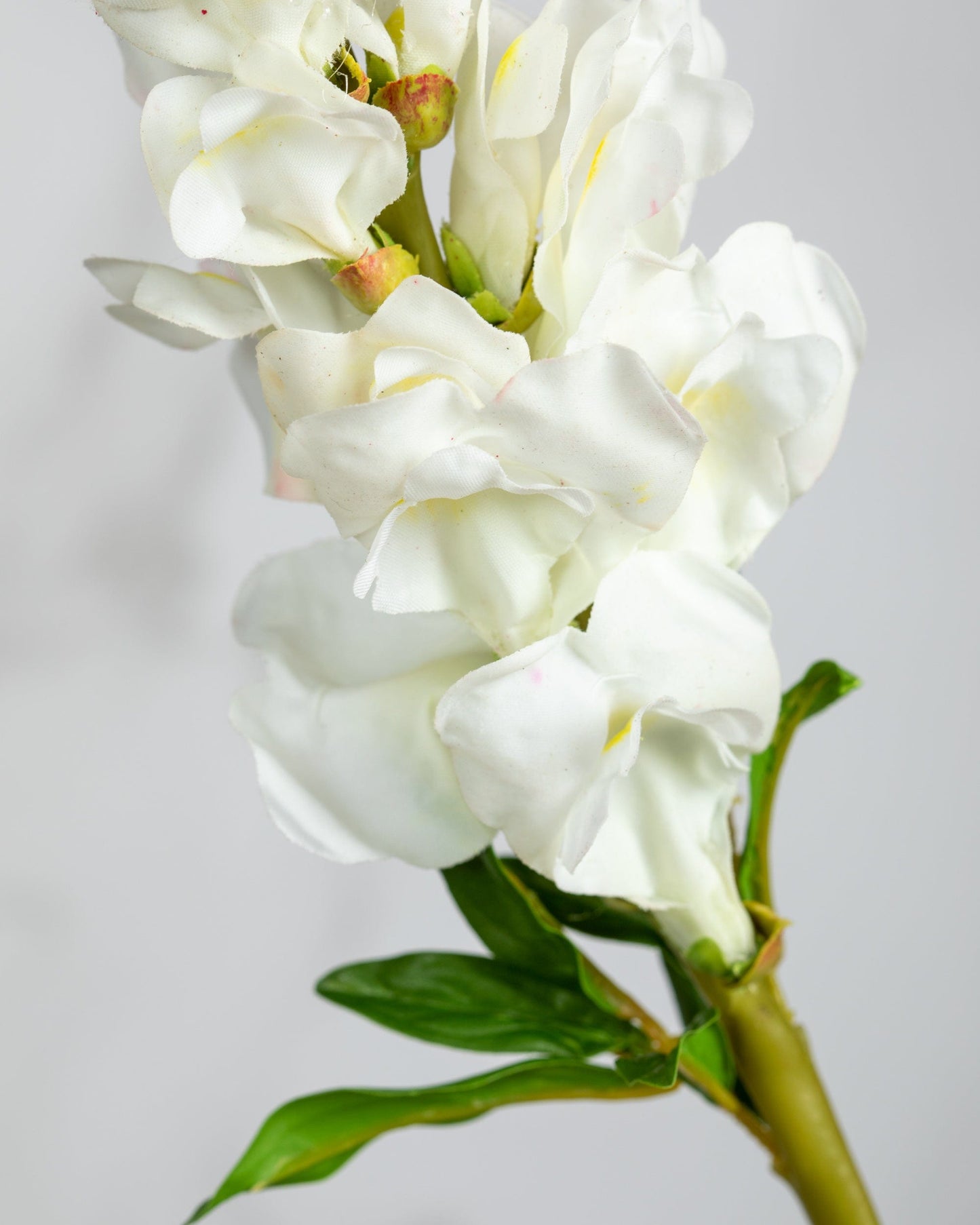 Prestige Botanicals Artificial White Snapdragon close up