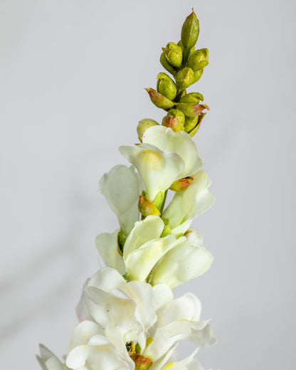 Prestige Botanicals Artificial White Snapdragon close up