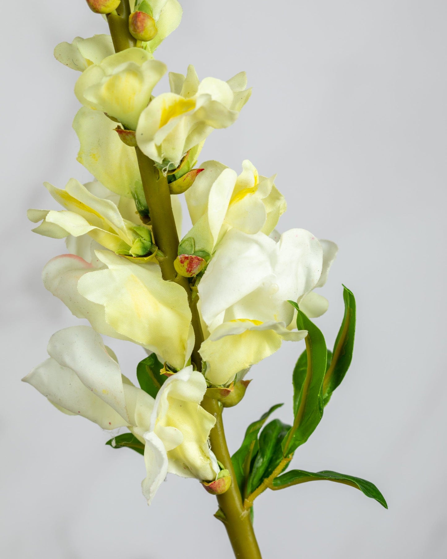 Prestige Botanicals Artificial Yellow Snapdragon close up