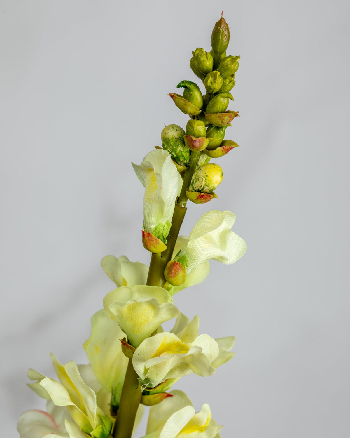 Prestige Botanicals Artificial Yellow Snapdragon close up