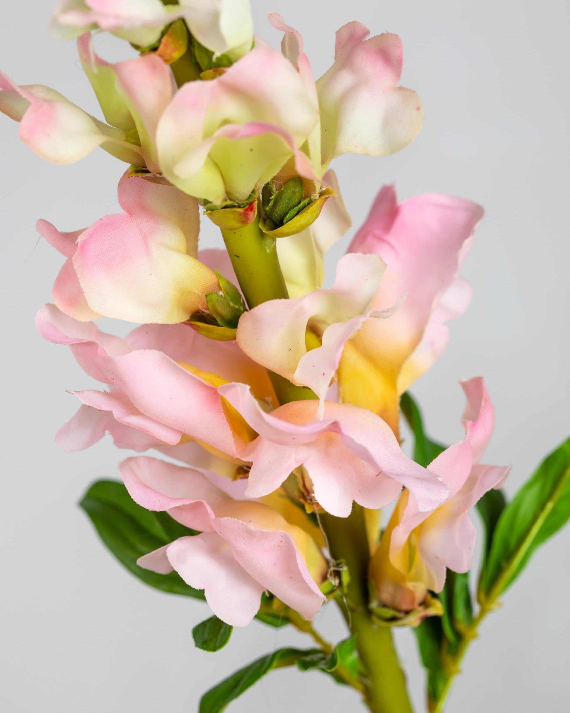 Prestige Botanicals Artificial Pink Snapdragon close up