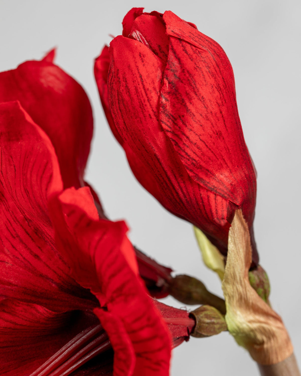 Prestige Botanicals Artificial Red Amaryllis close up