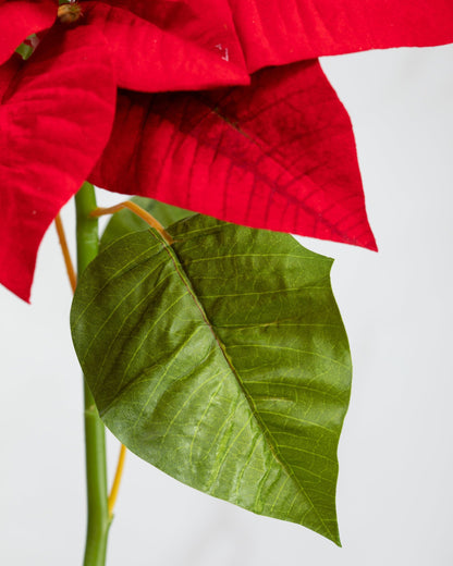 Prestige Botanicals Artificial Red Poinsettia leaf close up