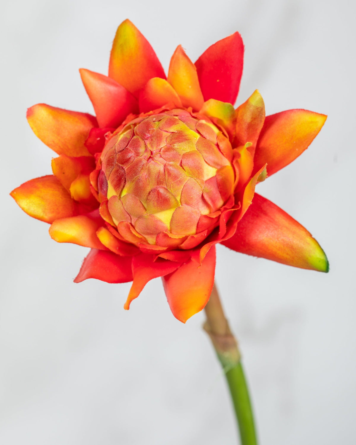Prestige Botanicals Artificial Orange Snapdragon close up