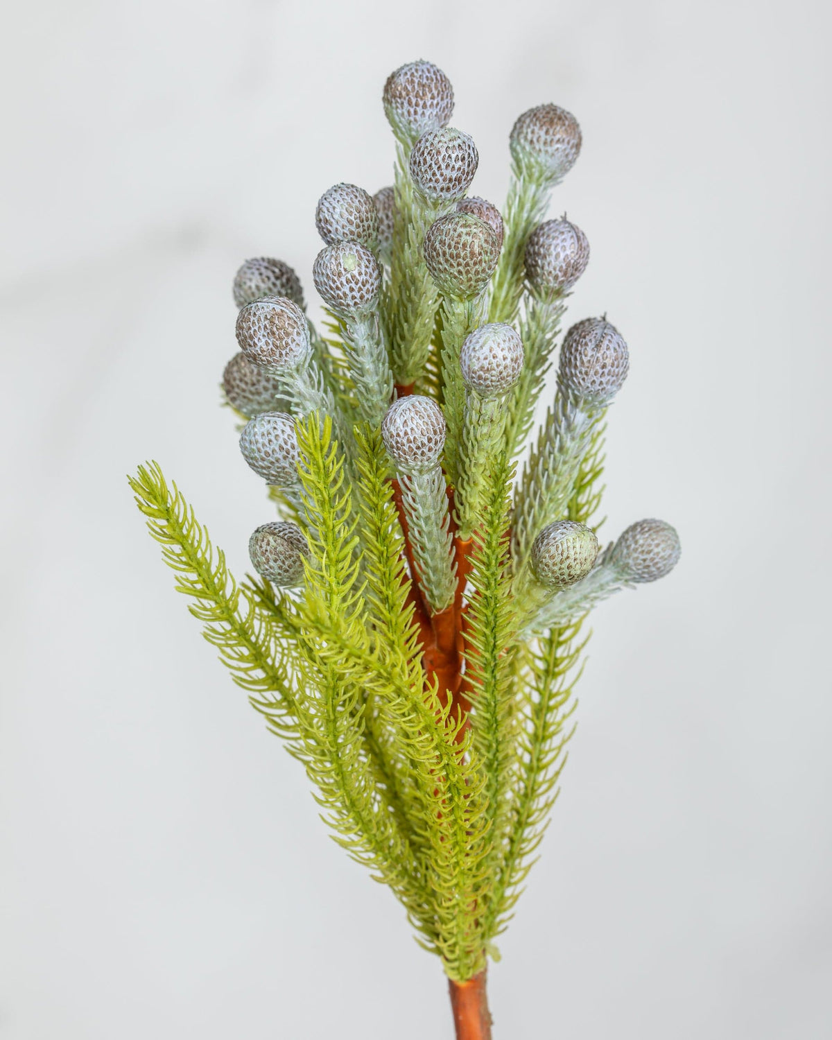 Prestige Botanicals Artificial Sandy Pine Stem foliage close up