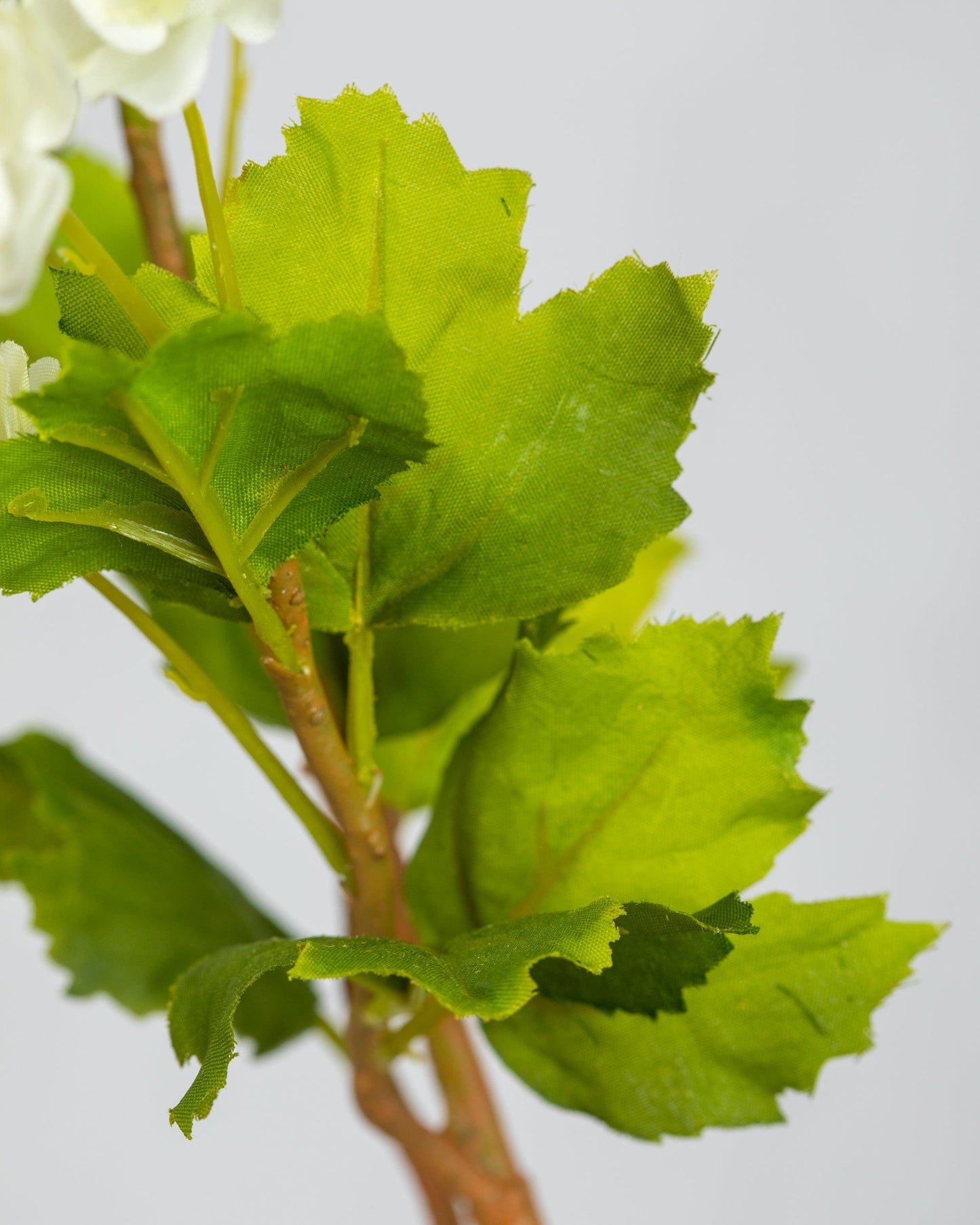 Prestige Botanicals Artificial White Hops close up