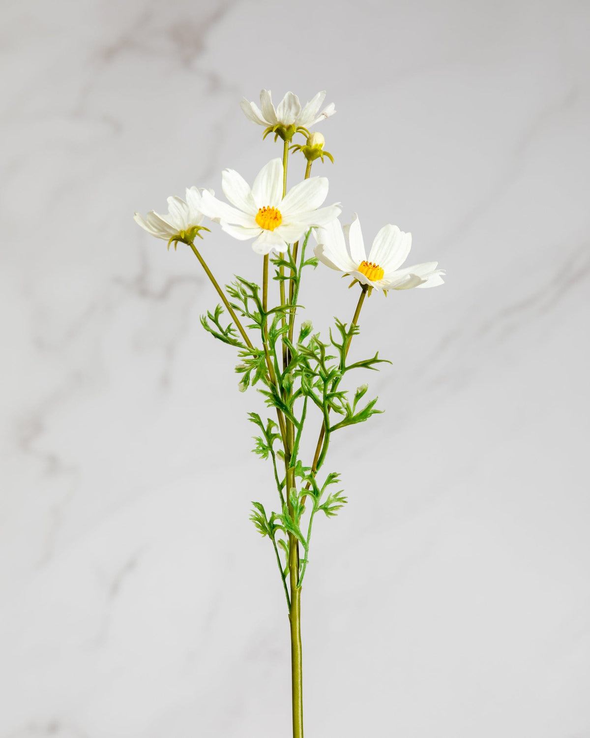 Prestige Botanicals Artificial White Cosmos Flower