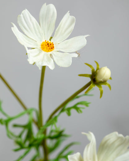 Prestige Botanicals Artificial White Cosmos Flower close up