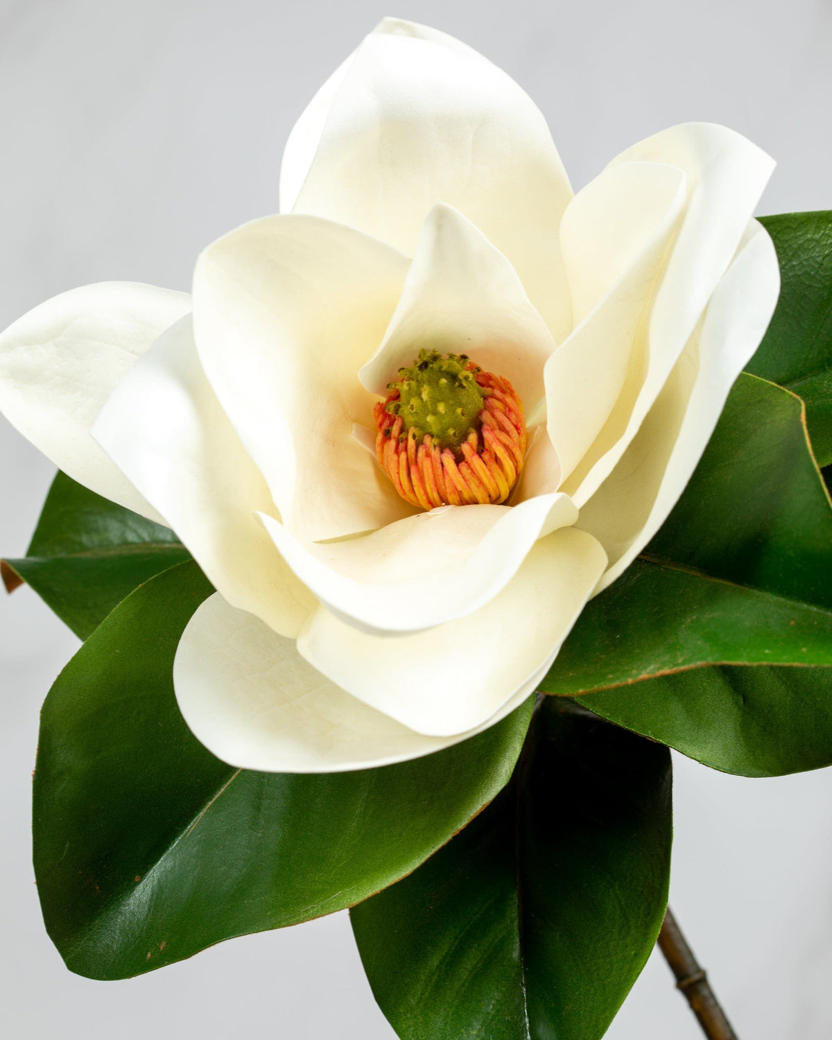 Prestige Botanicals Artificial White Magnolia close up