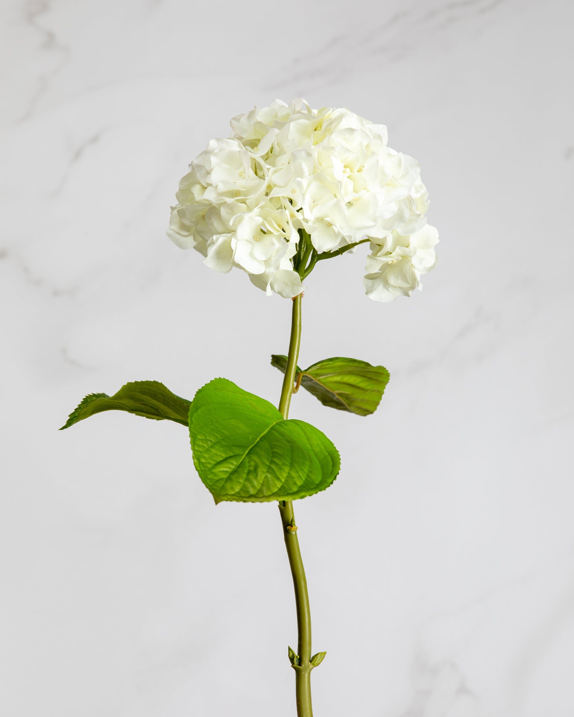 Prestige Botanicals Artificial Long White Hydrangea stem