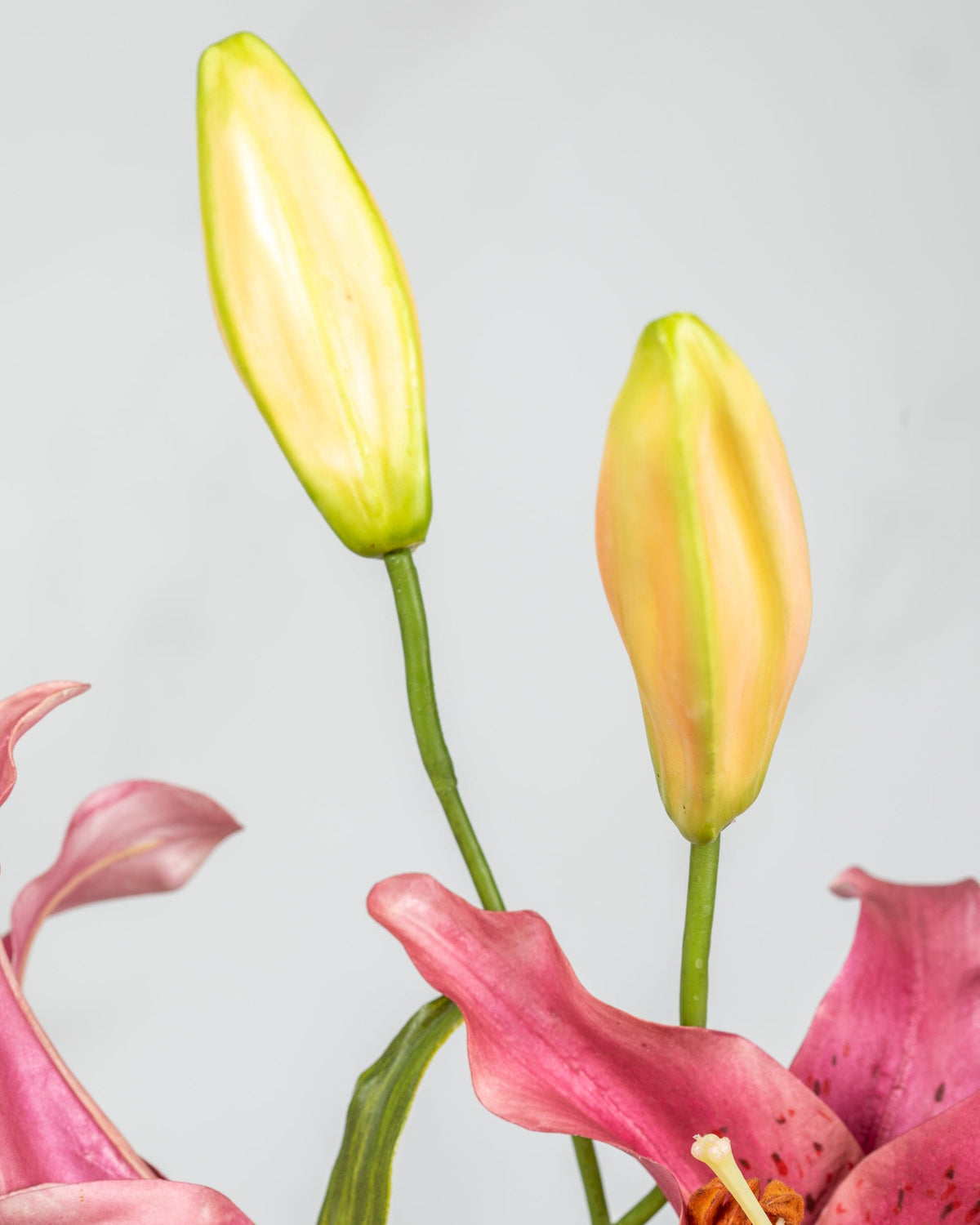 Prestige Botanicals Artificial Stargazer Lily bud close up