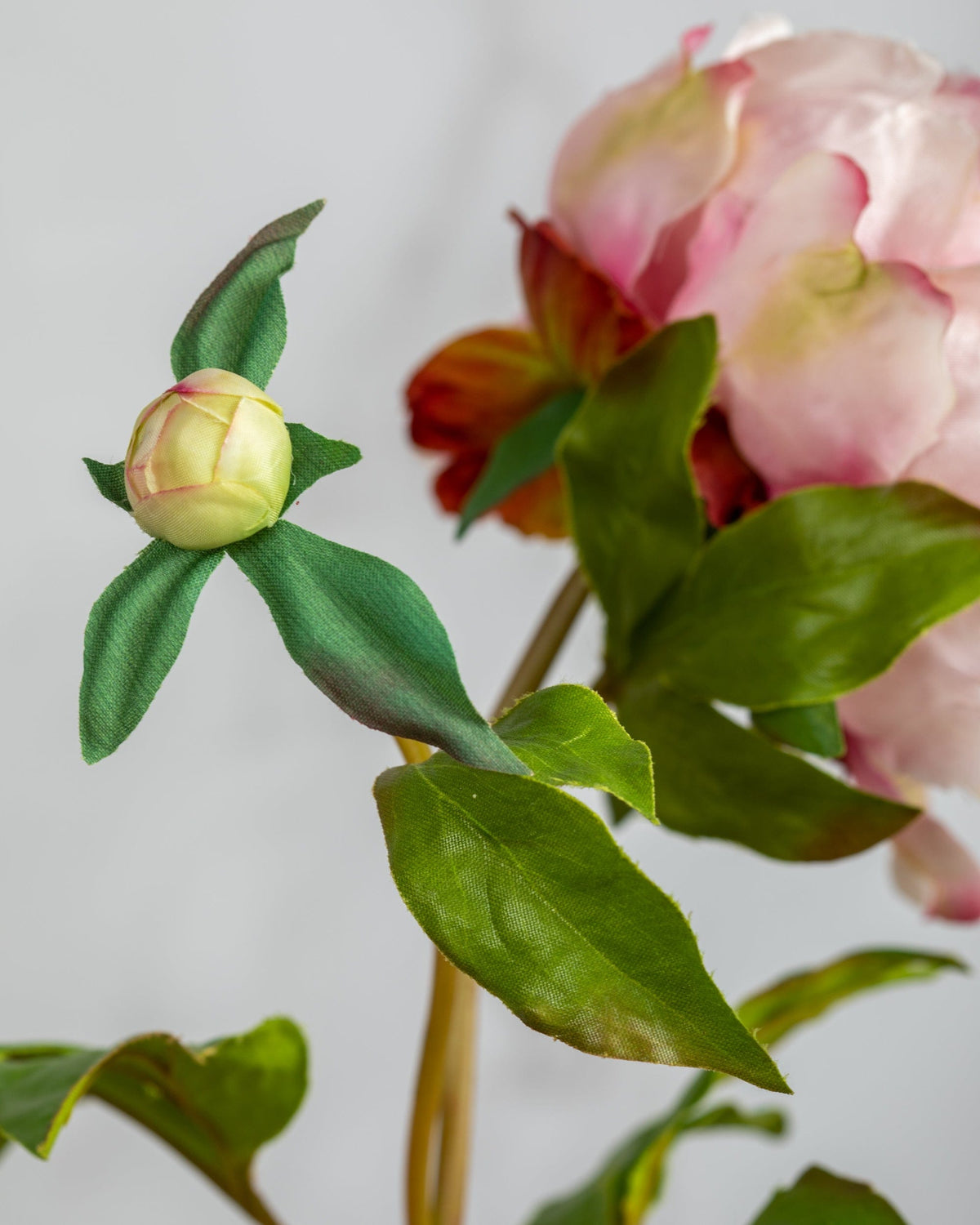 Prestige Botanicals Artificial Pink Peony bud close up