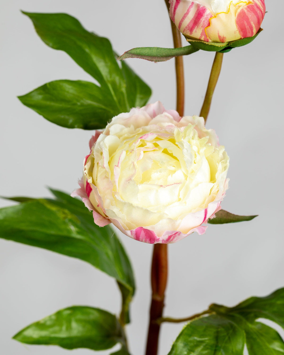 Prestige Botanicals Artificial White and Pink Peony bud spray close up