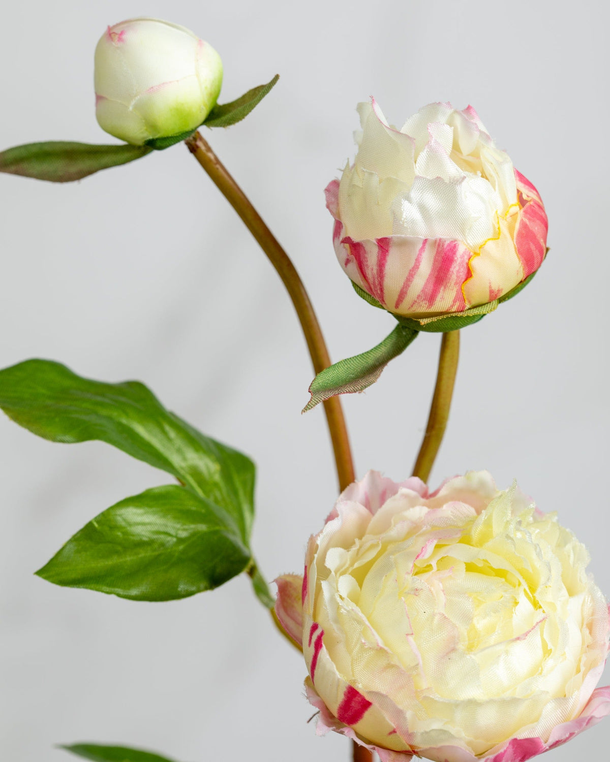Prestige Botanicals Artificial White and Pink Peony bud spray close up