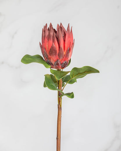 Prestige Botanicals Artificial King Red Protea