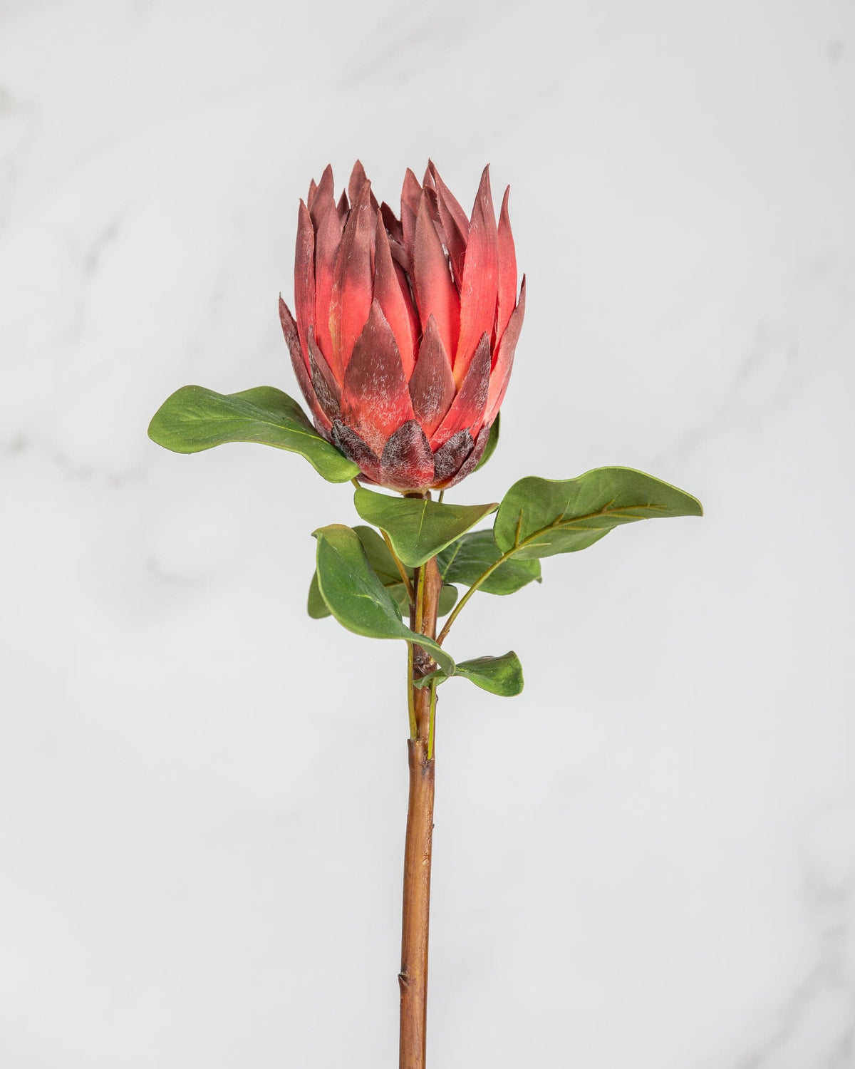 Prestige Botanicals Artificial King Red Protea