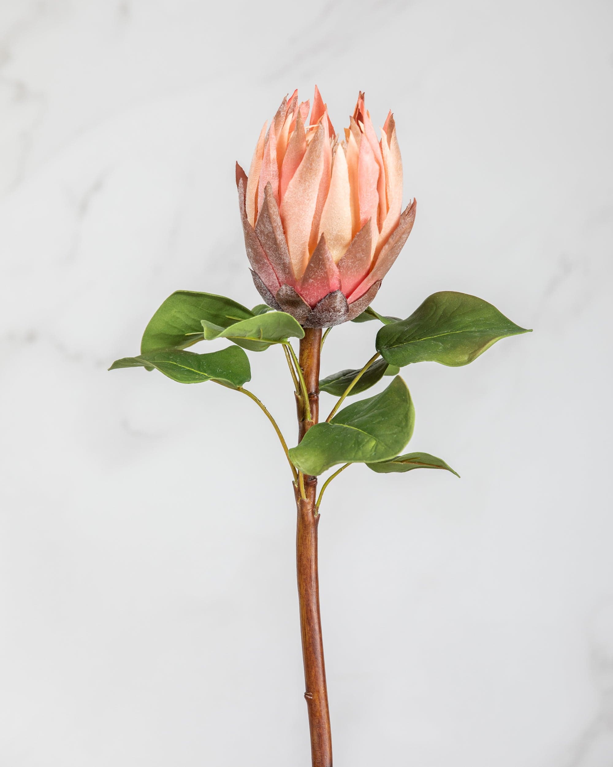 Prestige Botanicals Artificial King Pink Protea Stem