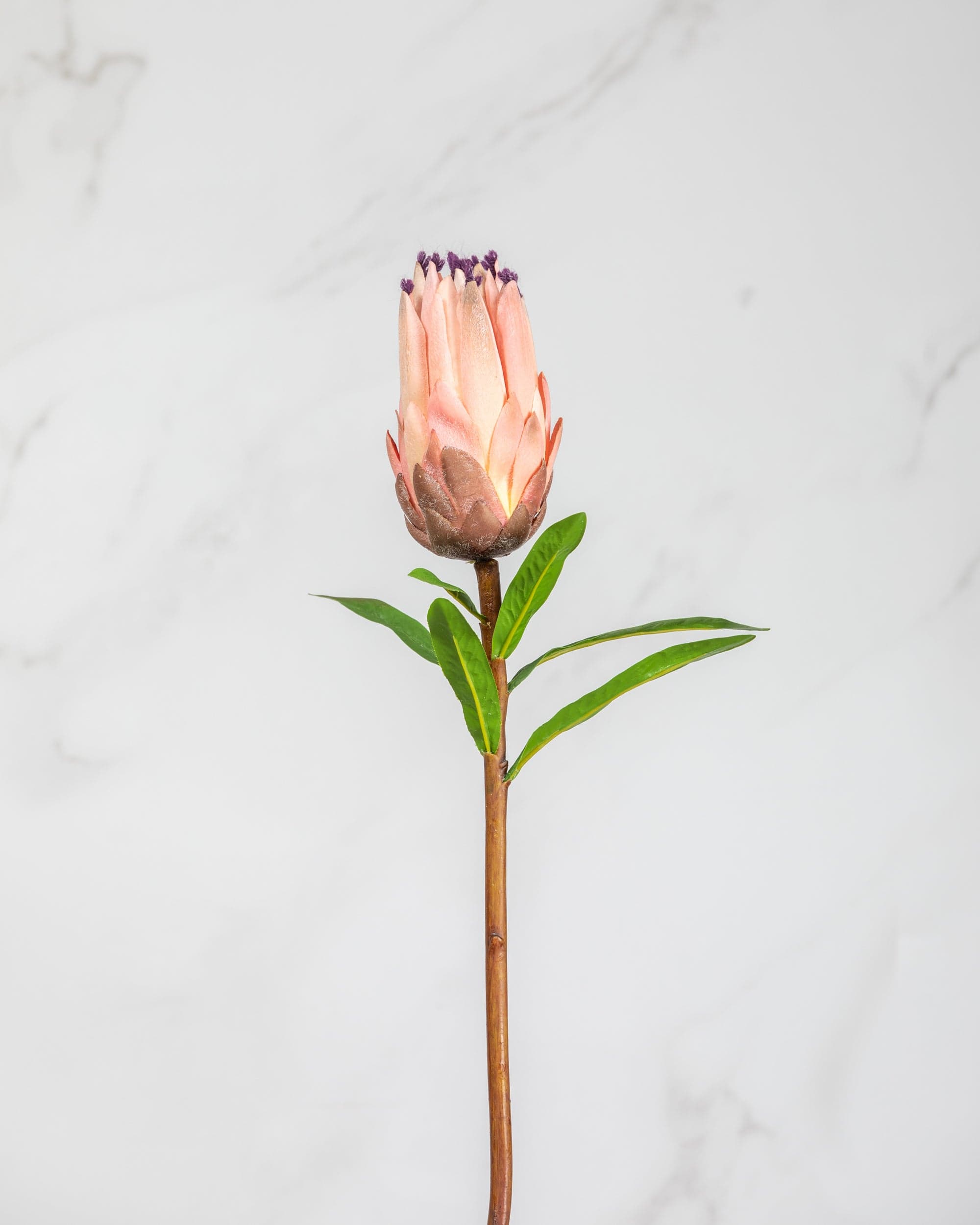 Prestige Botanicals Artificial Pink Mink Magnolia Stem